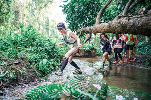 BIB: 
                            <button type="button" onclick="openModal(25477735)" class="btn btn-primary btn-sm float-right btn-popup" data-toggle="modal" data-target=".modal-high-quality">
                        <i class="fas fa-shopping-cart"></i> Add to Cart
                    </button>
                                            <button type="button" onclick="isThisMe(25477735, true)" class="btn btn-success btn-sm float-right btn-popup btn-isme hidden" data-toggle="tooltip" data-placement="bottom" title="นี่คือรูปของคุณใช่ไหม คลิกที่นี่เพื่อเอาเข้าอัลบั้ม">
                        <i class="fas fa-plus"></i> Add to album
                    </button>
                    <button type="button" onclick="isThisMe(25477735, false)" class="btn btn-warning btn-sm float-right btn-popup btn-isnotme hidden">
                        <i class="fas fa-ban"></i> Remove from album
                    </button>